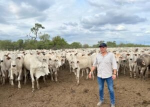 Diseño sin título - 2024-01-26T123811.195